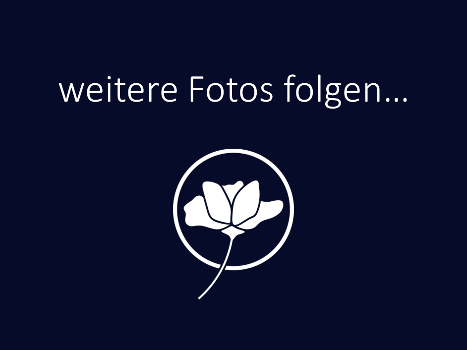 Weitere Bilder folgen